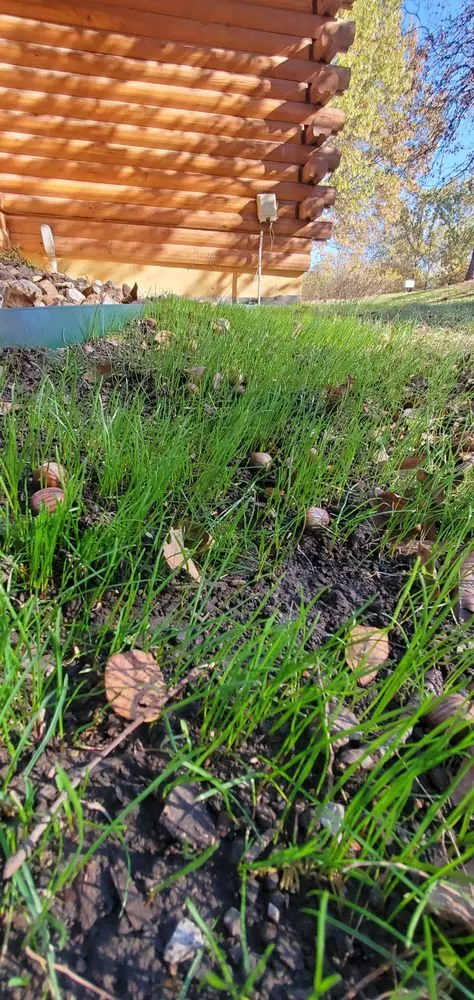 Top-rated landscape design for beautiful yards in Warsaw, MO by Prestige Lawn & Landscaping