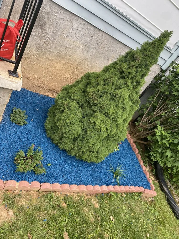 Custom yard cleanup service experts serving Owings Mills, MD - Prestige Lawn And Garden