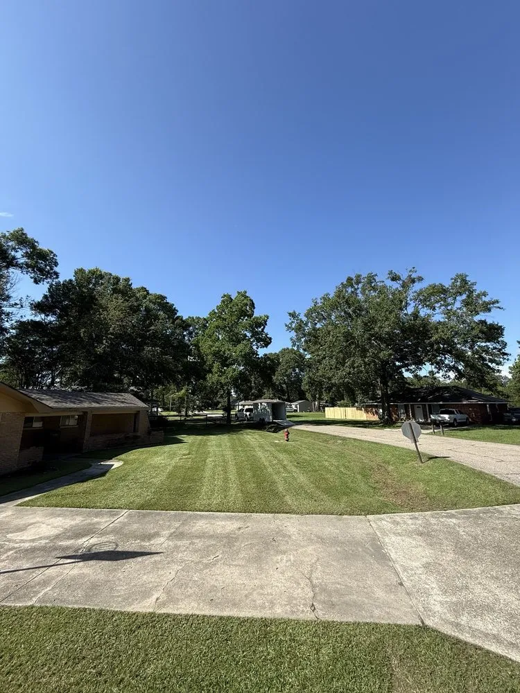 Professional outdoor landscaping for year-round maintenance in Central, LA by Prestige Lawn and Landscape