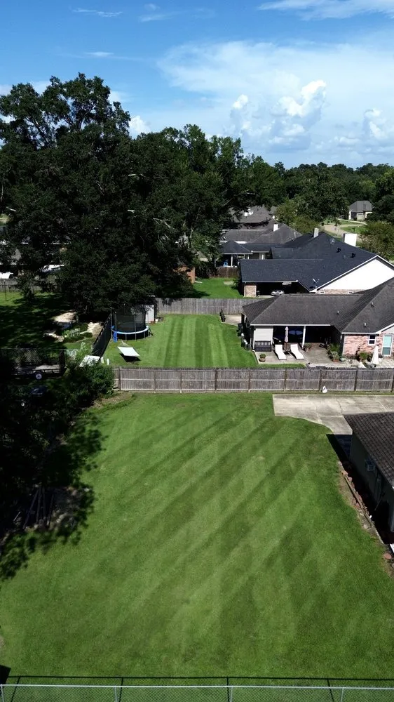 Expert landscaping services experts serving Central, LA - Prestige Lawn and Landscape