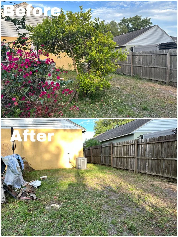 Local landscape installation in Orlando, FL by Prestige Lawn Care & Maintenance