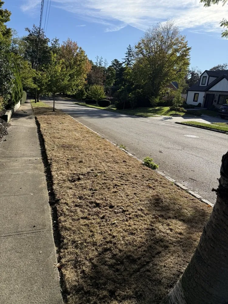 Local outdoor landscaping with custom design across Huntington Station, NY - Prestige Lawn Care