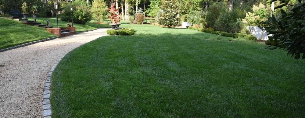 Reliable yard cleanup service in Huntington Station, NY - Prestige Lawn Care