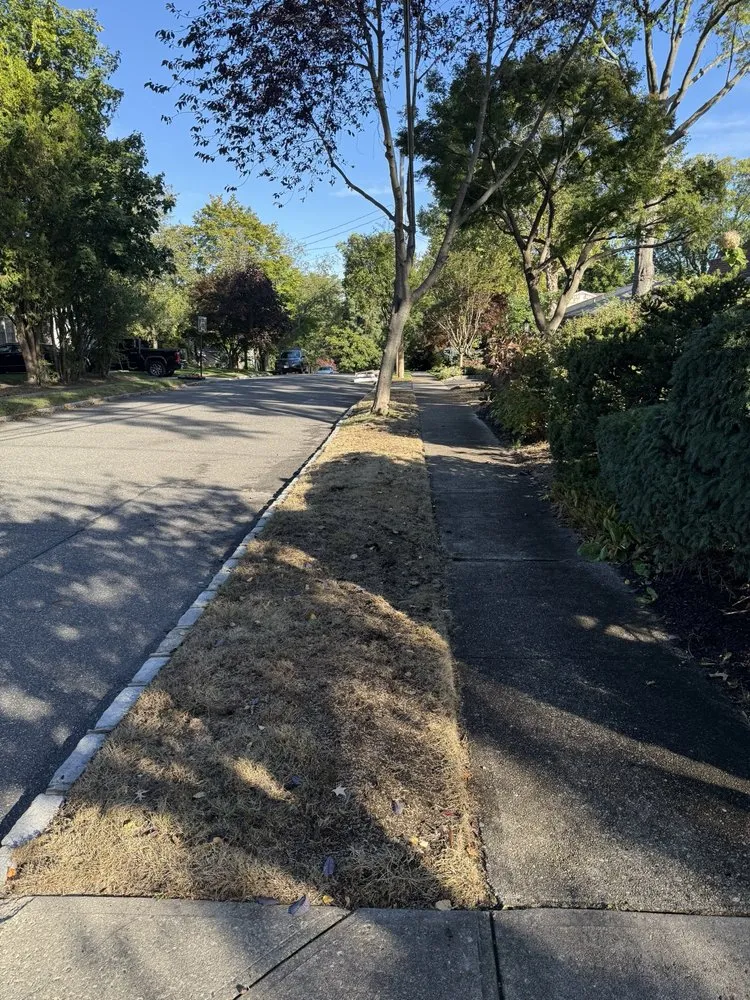 Top-rated garden landscaping in Huntington Station, NY by Prestige Lawn Care