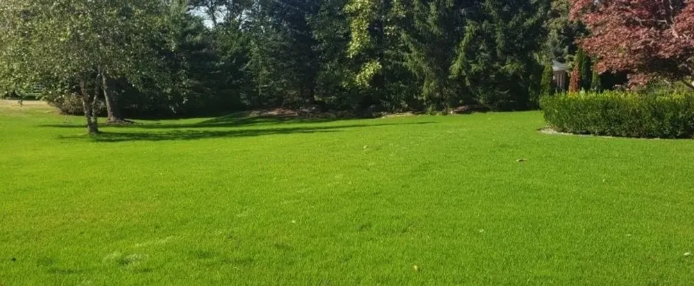 Affordable yard maintenance for homes in Huntington Station, NY by Prestige Lawn Care