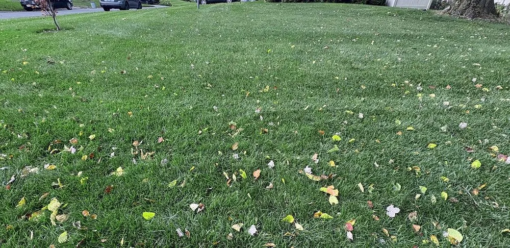 Affordable landscape installation for year-round maintenance across Huntington Station, NY - Prestige Lawn Care