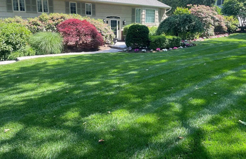 Expert yard maintenance with custom design across Huntington Station, NY - Prestige Lawn Care
