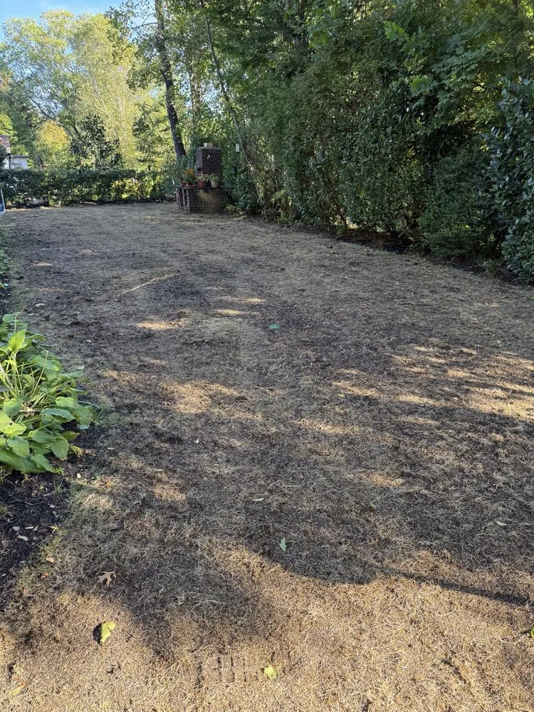 Professional outdoor landscaping in Huntington Station, NY - Prestige Lawn Care