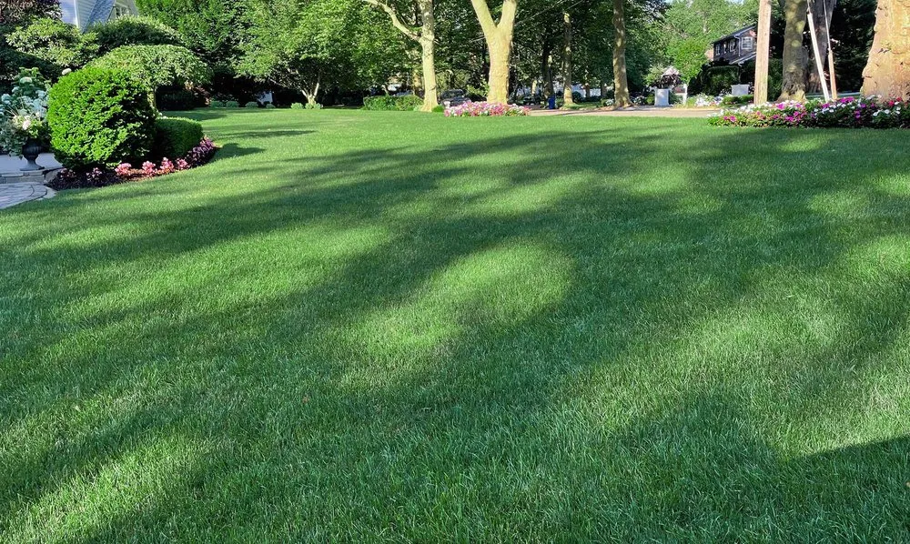 Professional yard maintenance in Huntington Station, NY - Prestige Lawn Care