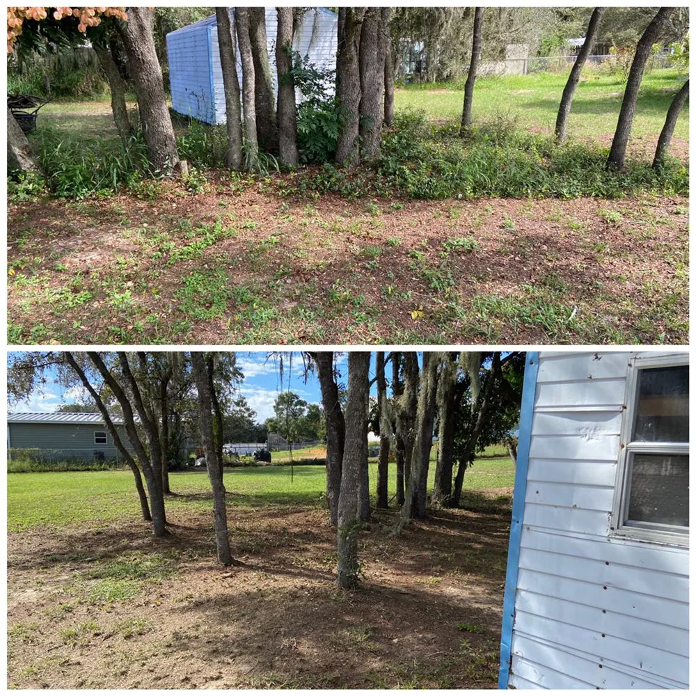 Custom landscape installation experts serving Kissimmee, FL - Prestige Lawn Care