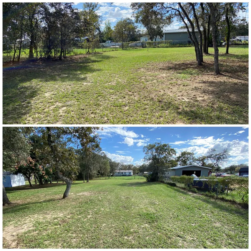 Expert landscaping services near you across Kissimmee, FL - Prestige Lawn Care