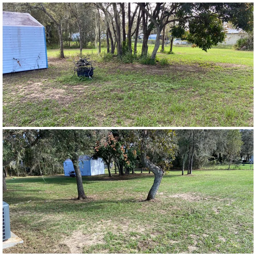 Expert lawn care service for residential properties in Kissimmee, FL by Prestige Lawn Care