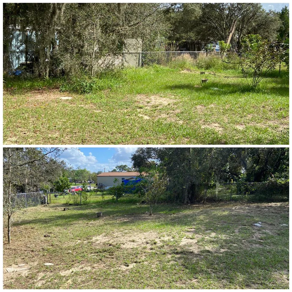 Trusted landscaping services for year-round maintenance across Kissimmee, FL - Prestige Lawn Care