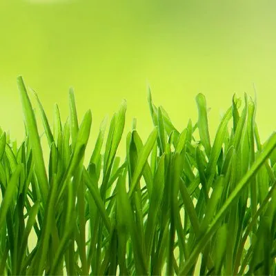 Affordable landscape installation experts serving Pawtucket, RI - Prestige Lawn Care Service