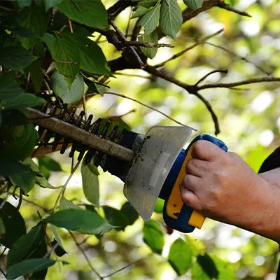 Local yard cleanup service for beautiful yards across Pawtucket, RI - Prestige Lawn Care Service