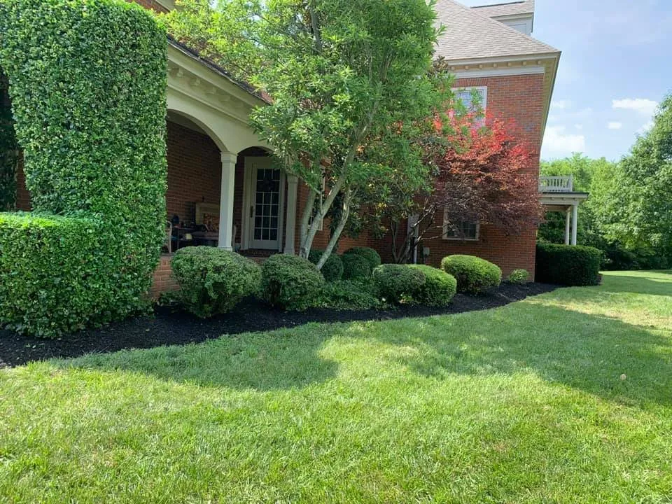 Reliable garden landscaping for residential properties in Shelbyville, KY by Prestige Lawn Care