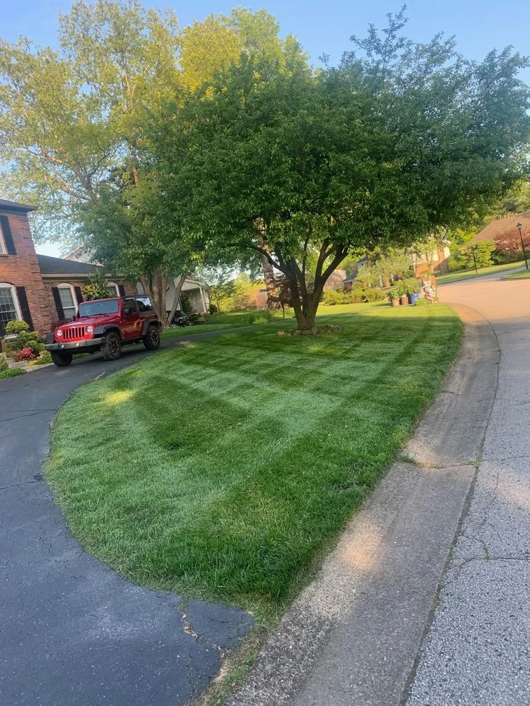 Affordable outdoor landscaping in Shelbyville, KY - Prestige Lawn Care
