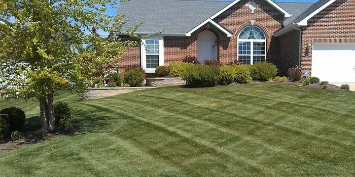 Top-rated yard cleanup service for homes in Shelbyville, KY by Prestige Lawn Care