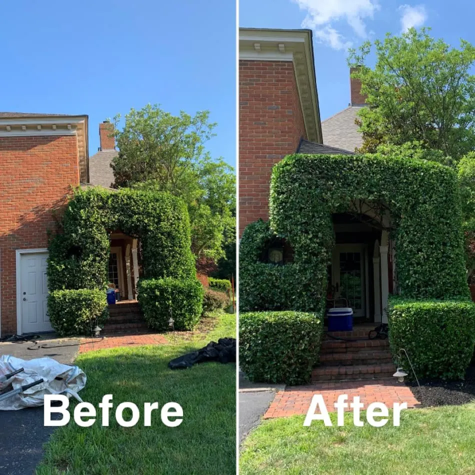 Custom lawn care service in Shelbyville, KY - Prestige Lawn Care