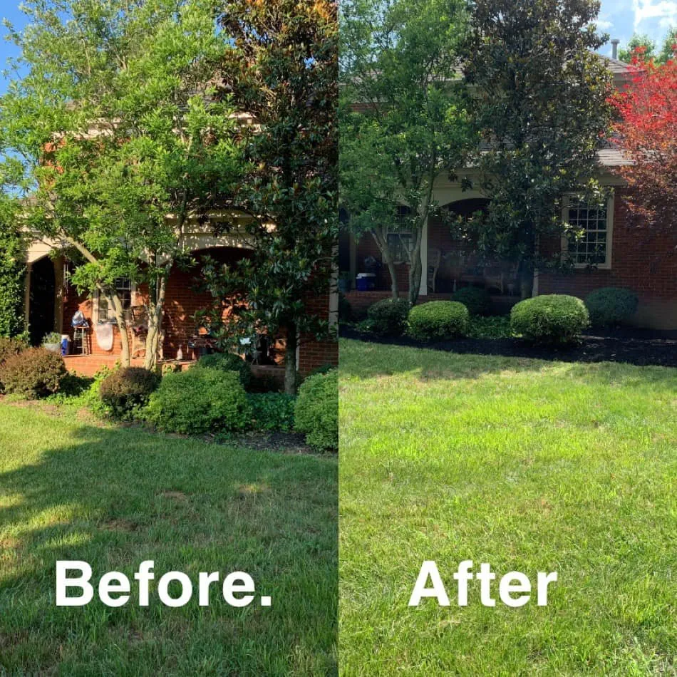 Reliable yard maintenance for residential properties in Shelbyville, KY by Prestige Lawn Care