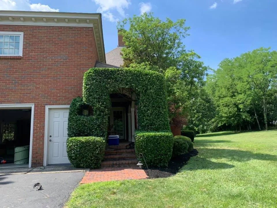 Affordable outdoor landscaping in Shelbyville, KY by Prestige Lawn Care