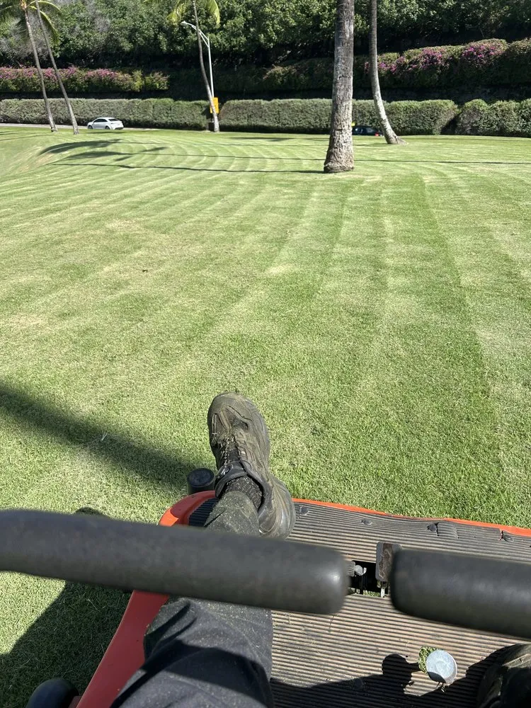 Expert landscape design for residential properties across Waianae, HI - Prestige Lawn Care