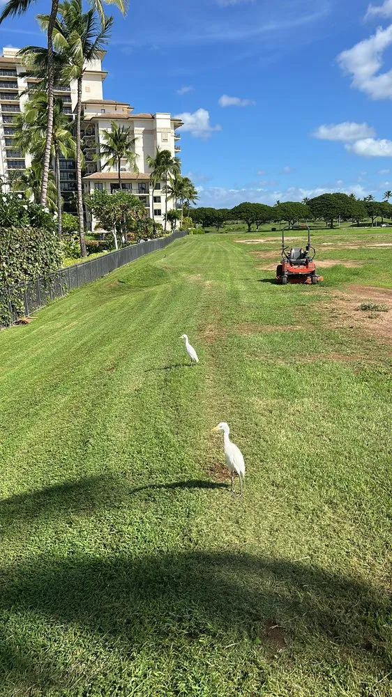 Custom residential landscaping in Waianae, HI - Prestige Lawn Care