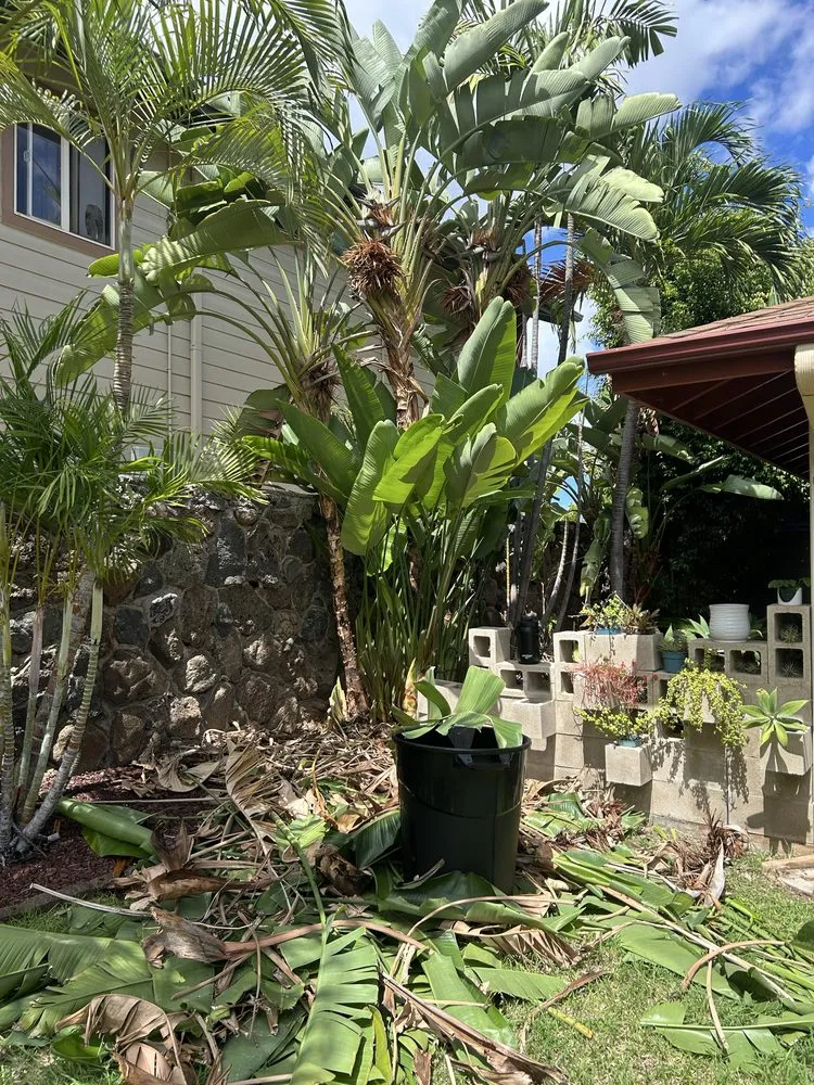 Professional landscape design for homes across Waianae, HI - Prestige Lawn Care