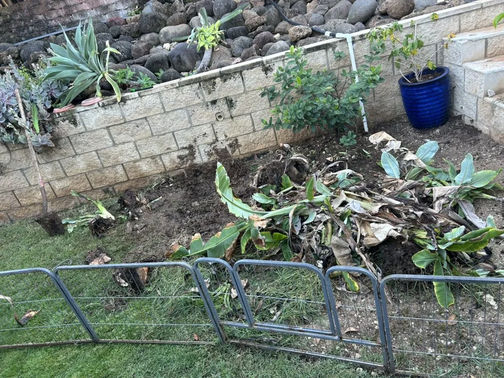 Trusted landscape installation for beautiful yards in Waianae, HI by Prestige Lawn Care