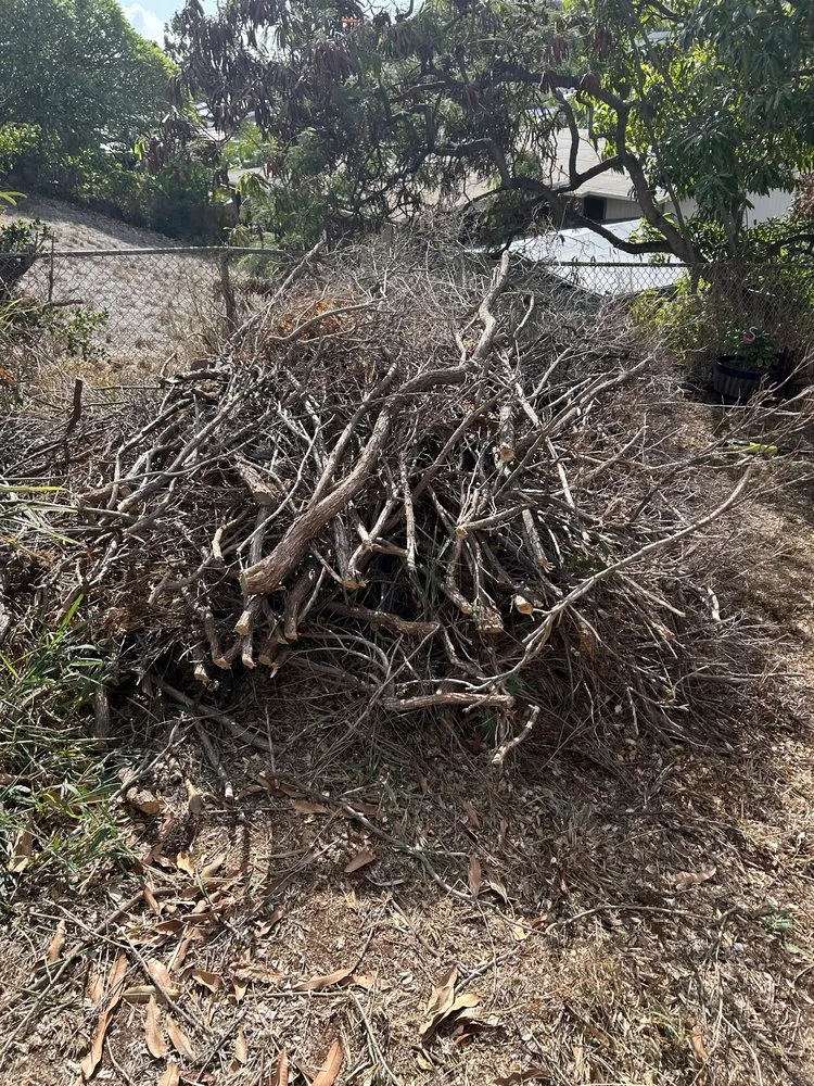 Trusted lawn mowing service experts serving Waianae, HI - Prestige Lawn Care