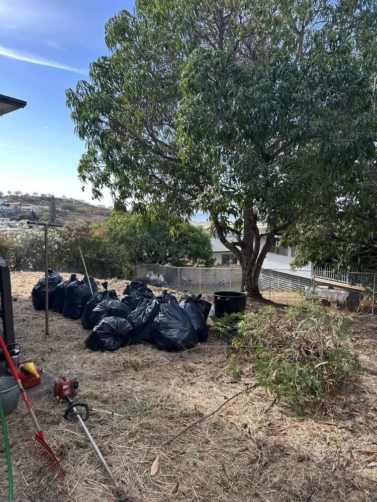 Custom landscape design for year-round maintenance in Waianae, HI by Prestige Lawn Care