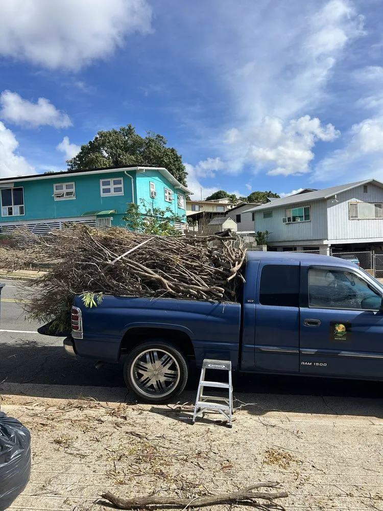 Reliable outdoor landscaping for residential properties in Waianae, HI by Prestige Lawn Care