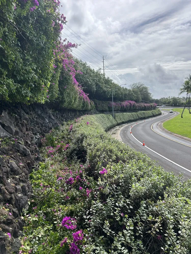 Professional lawn mowing service in Waianae, HI by Prestige Lawn Care