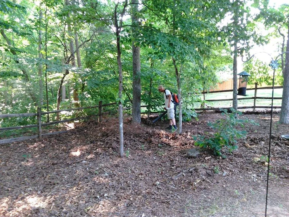 Reliable garden landscaping in Concord, NC - Prestige Lawn Maintenance