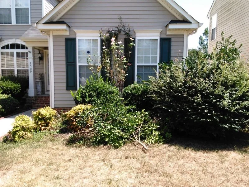 Local lawn care service in Concord, NC - Prestige Lawn Maintenance