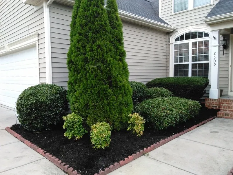 Custom yard maintenance experts serving Concord, NC - Prestige Lawn Maintenance