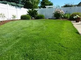 Professional outdoor landscaping in Del Rio, TX - Prestige Lawn Maintenance