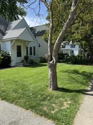 Prestige Lawn Pro’s Logo