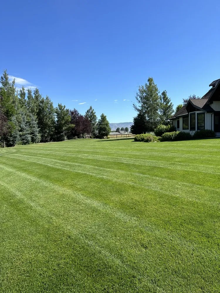 Local lawn care service for homes in Heber City, UT by Prestige Lawn Service and Aeration