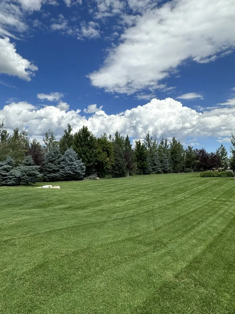 Professional lawn care service experts serving Heber City, UT - Prestige Lawn Service and Aeration