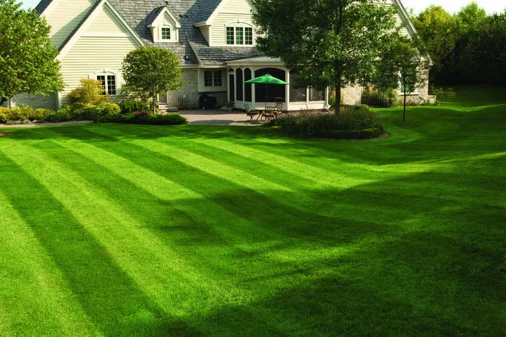 Expert landscape design near you in Evansville, IN by Prestige Lawn Services