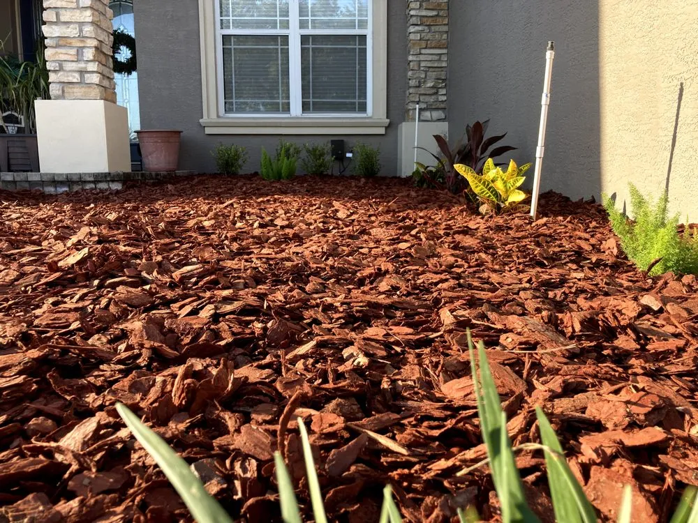 Custom landscape design in Lakeland, FL by Prestige Lawns & Landscaping