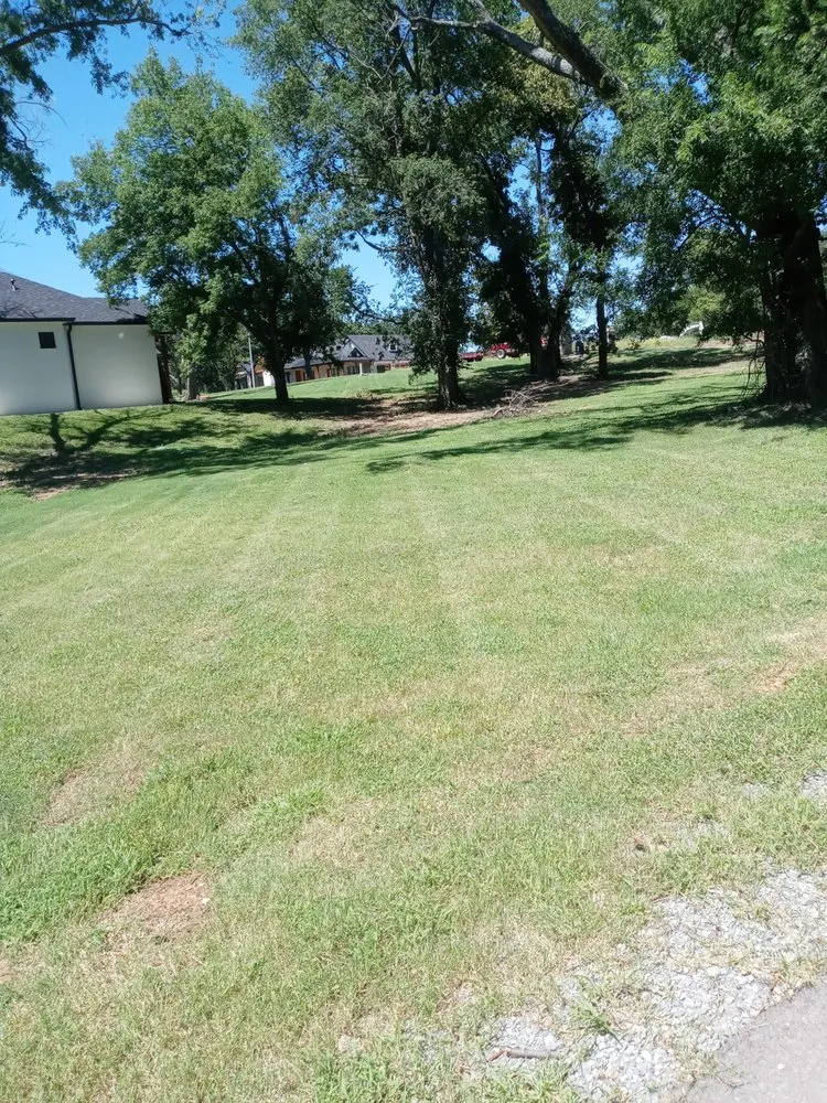 Local residential landscaping for year-round maintenance across Salina, OK - Prestige Lawns