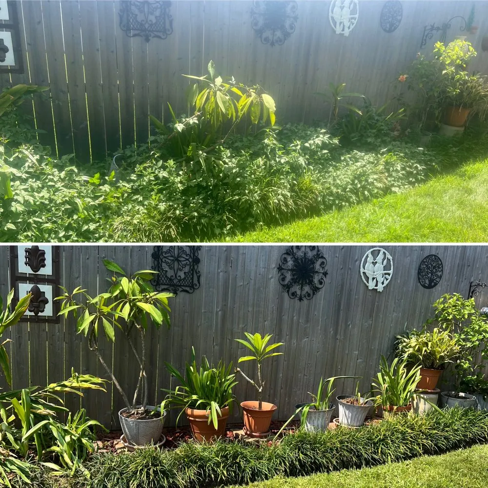 Professional yard maintenance in Baton Rouge, LA by Prestige Maintenance