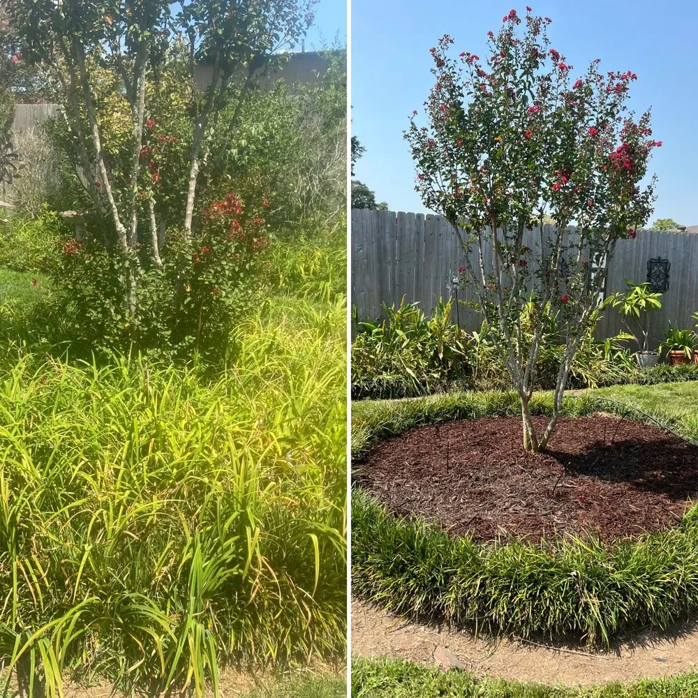 Top-rated landscape installation experts serving Baton Rouge, LA - Prestige Maintenance