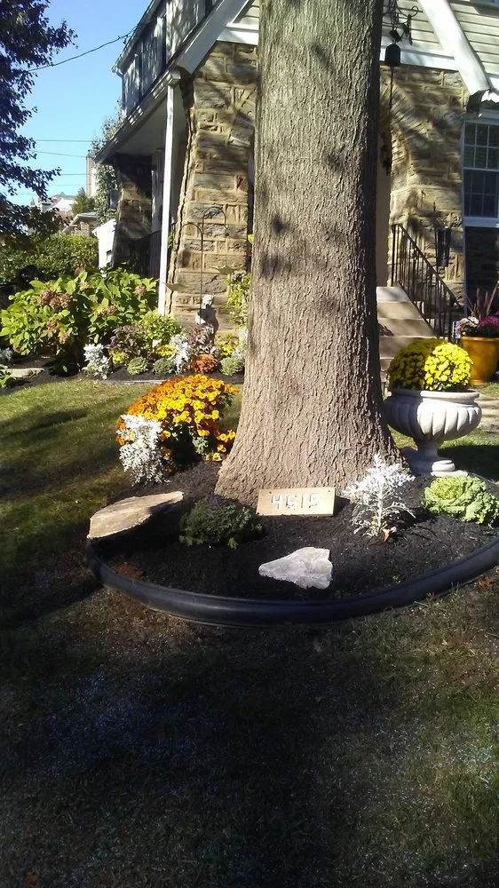 Local lawn mowing service in Camden, NJ by Prestige Management