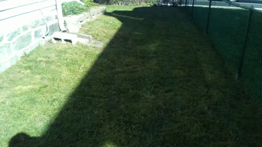 Professional landscape design in Camden, NJ by Prestige Management