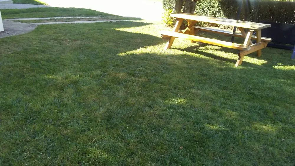 Trusted garden landscaping experts serving Camden, NJ - Prestige Management