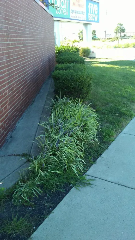 Professional garden landscaping for outdoor upgrades across Camden, NJ - Prestige Management