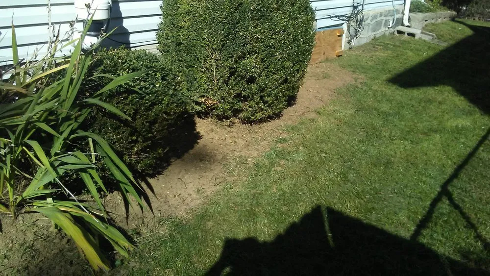 Reliable lawn mowing service for residential properties across Camden, NJ - Prestige Management